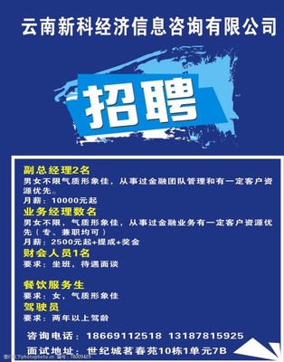 塑造专业形象 某某信息咨询公司的视觉素材与核心服务